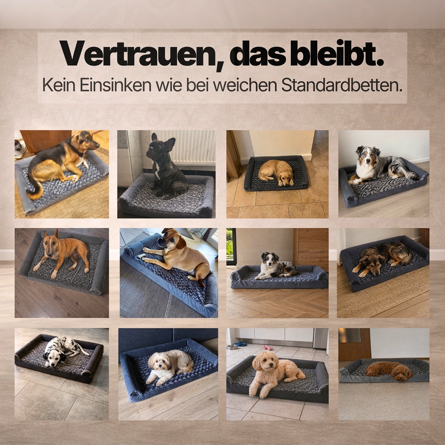 OrthoWave Komfortbett🐾