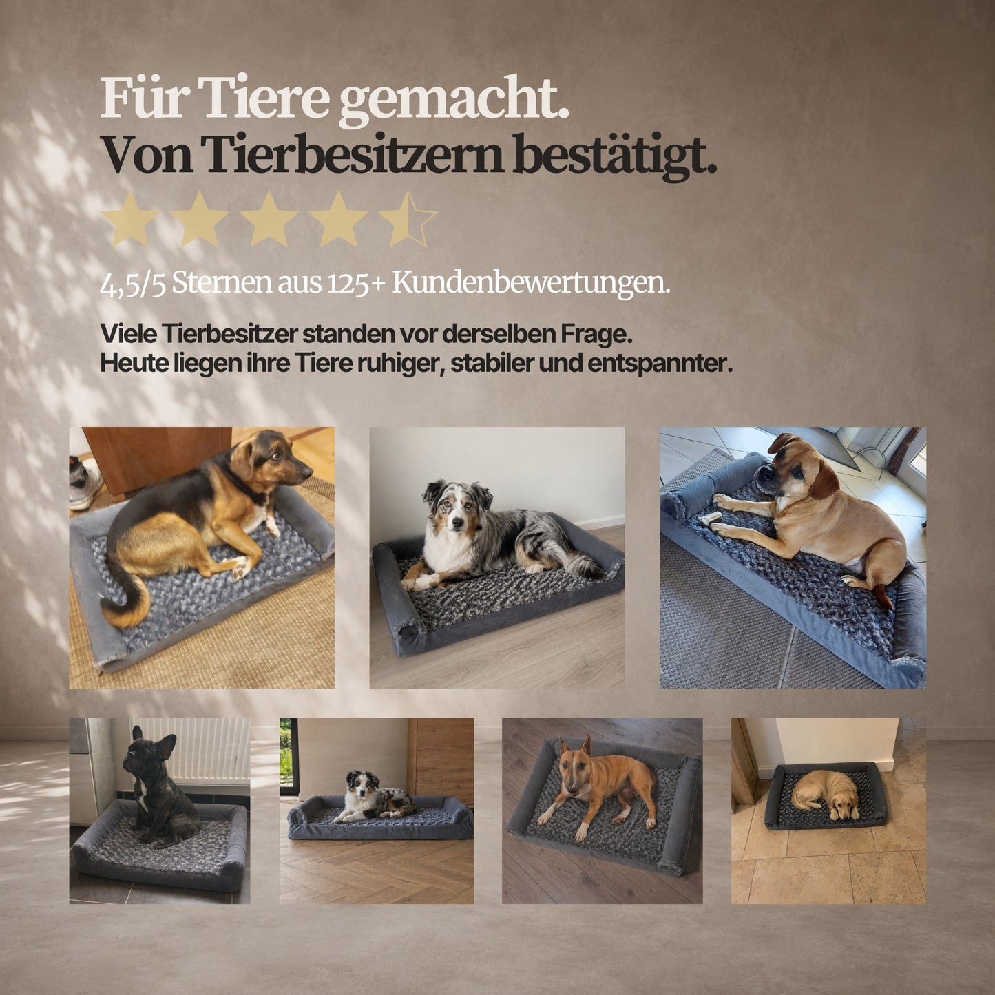OrthoWave Komfortbett🐾