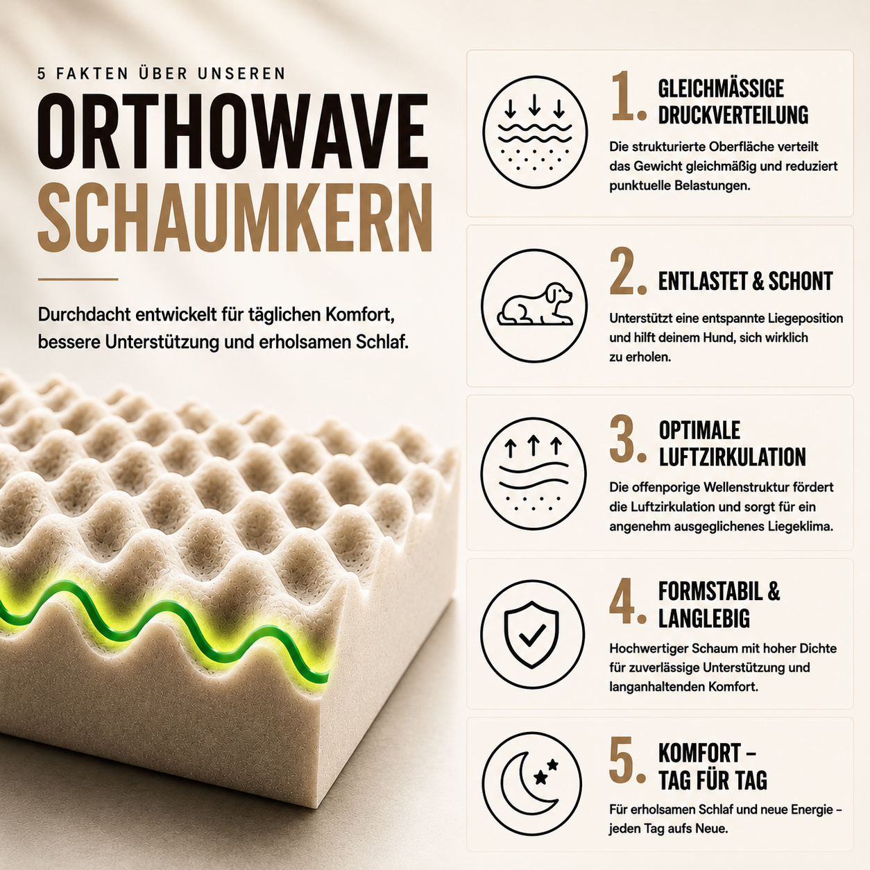 OrthoWave Komfortbett🐾