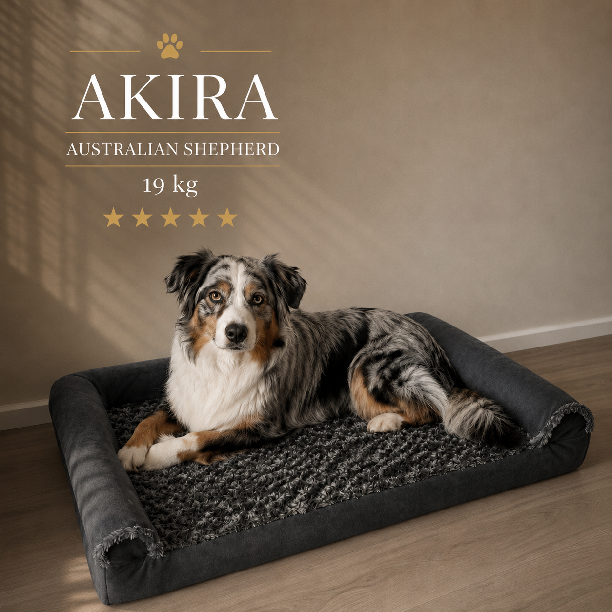 OrthoWave Komfortbett🐾