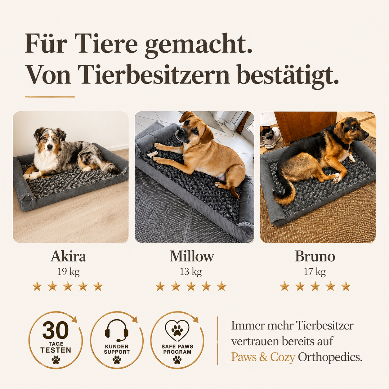 OrthoWave Komfortbett🐾